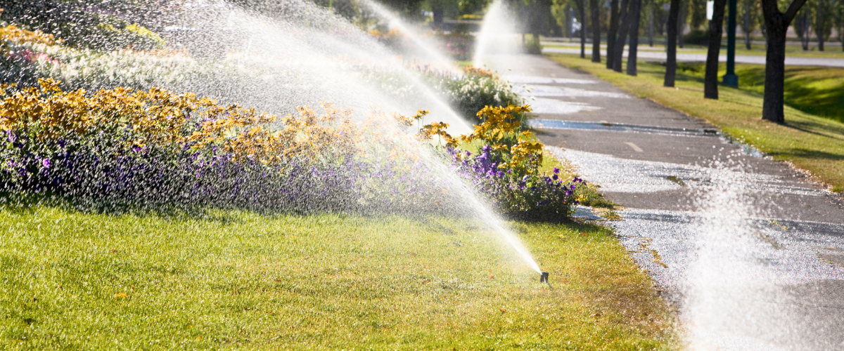 Traditional sprinkler system watering grass and flower beds, with visible water overspray onto the sidewalk, illustrating inefficient lawn irrigation.